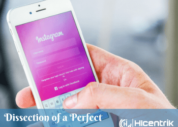 Dissection of a Perfect Instagram Profile – Online Reputation Management